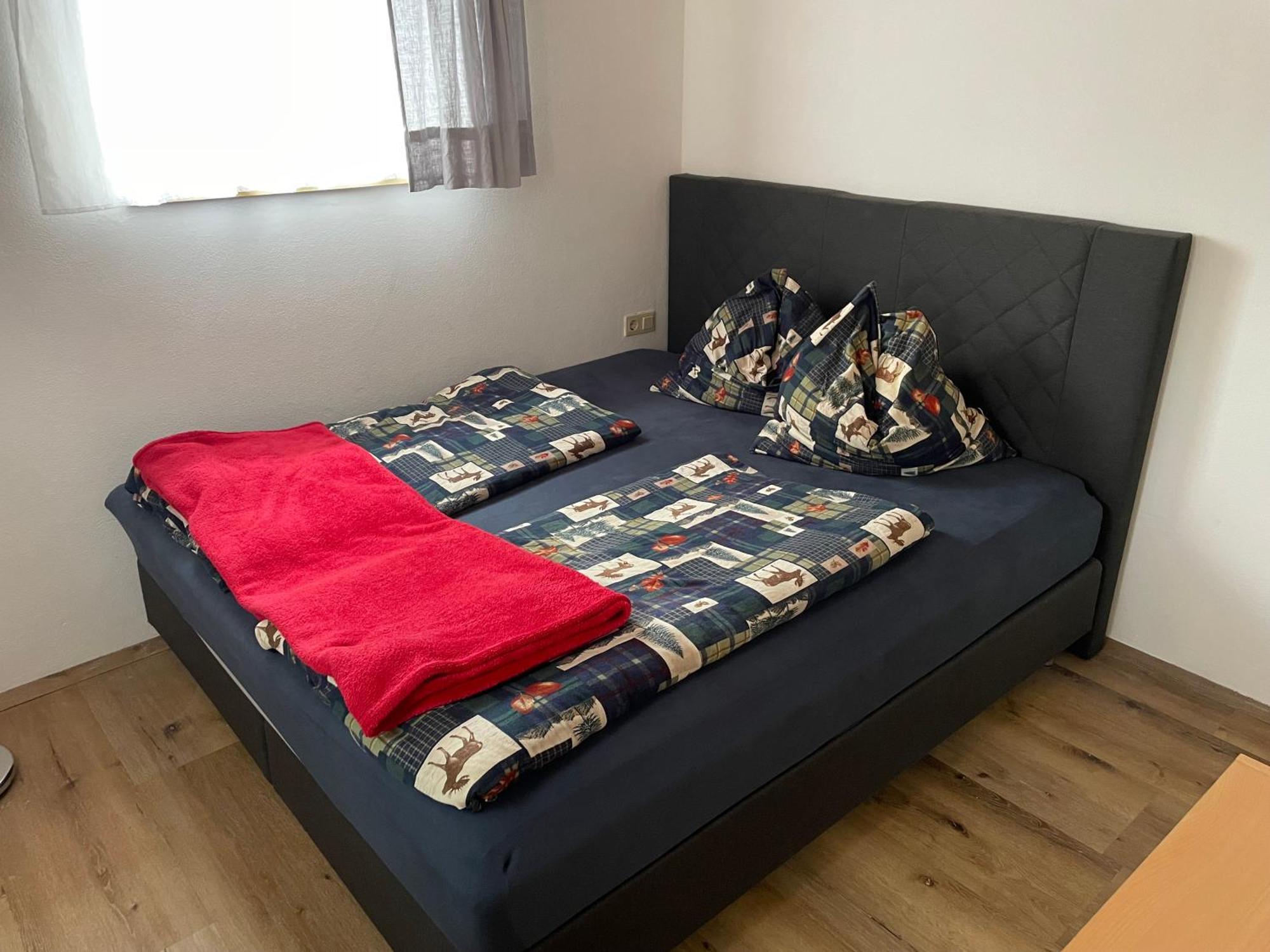 Ferienwohnung In Ruhiger Lage In Bischofshofen Dış mekan fotoğraf